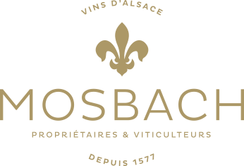 Vins d'Alsace Mosbach